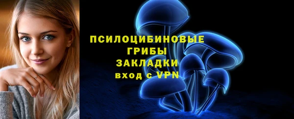 прущие грибы Алексин