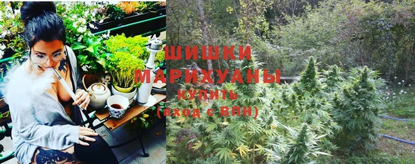 шишки Алзамай