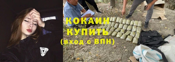 сатива Данков