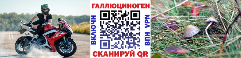 Псилоцибиновые грибы мухоморы Белокуриха